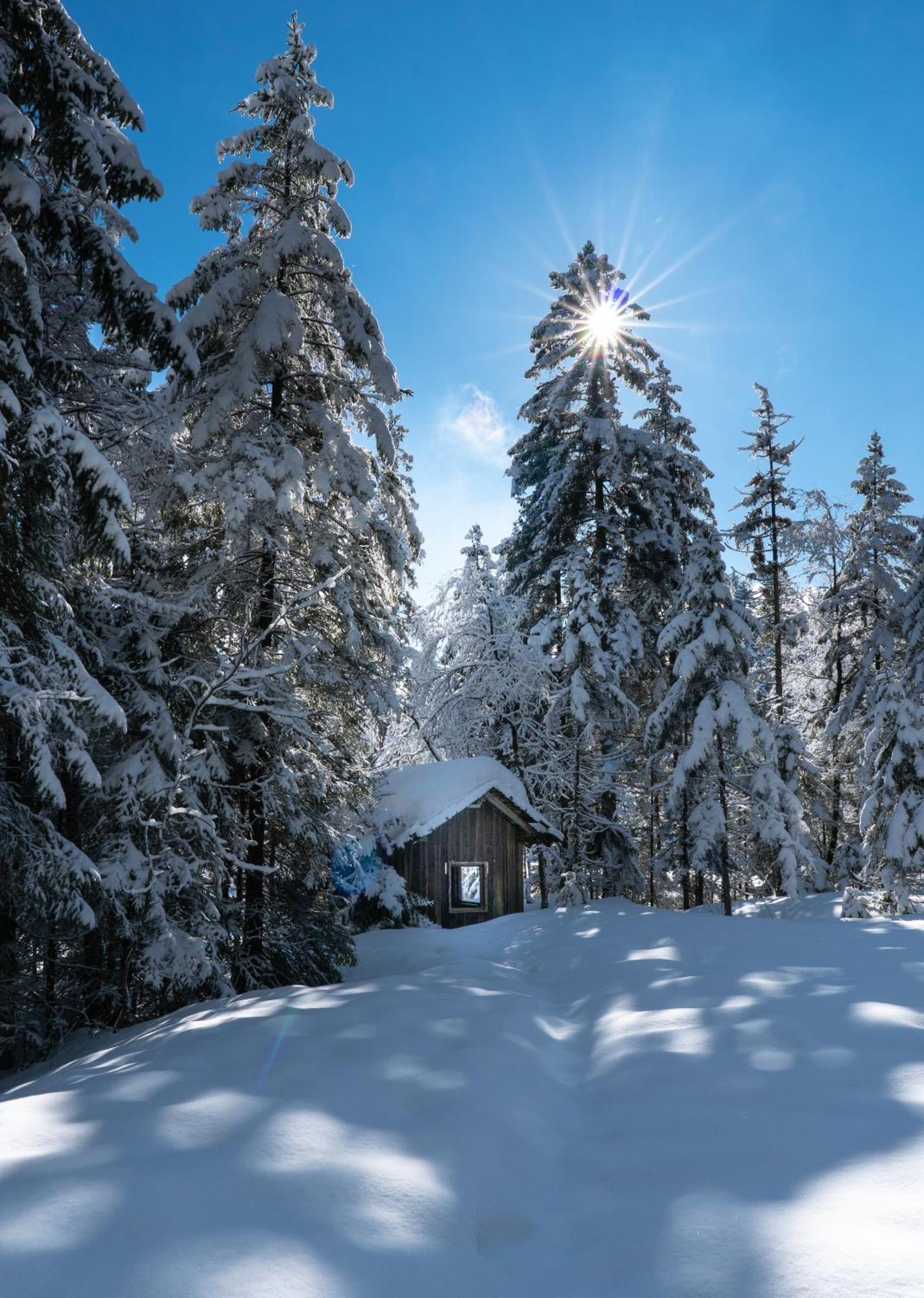 Ferienwohnung Bergpfote - Hund Herzlich Willkommen Scheidegg Luaran gambar