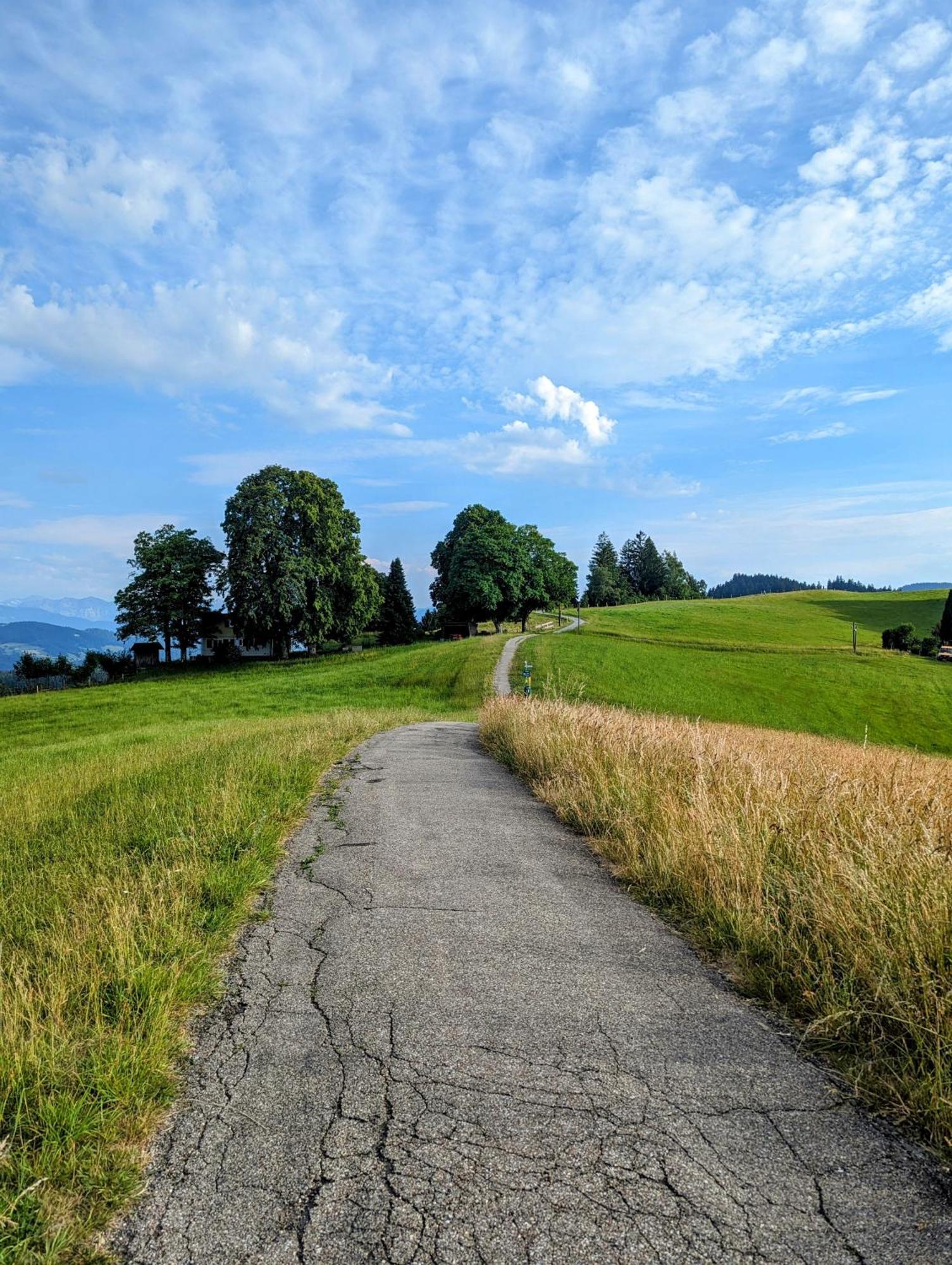 Ferienwohnung Bergpfote - Hund Herzlich Willkommen Scheidegg Luaran gambar